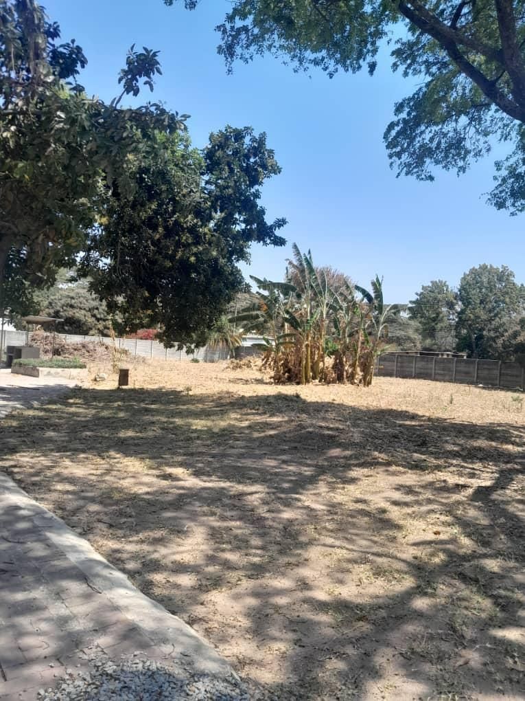 House For Sale In Hatfield — photo 5