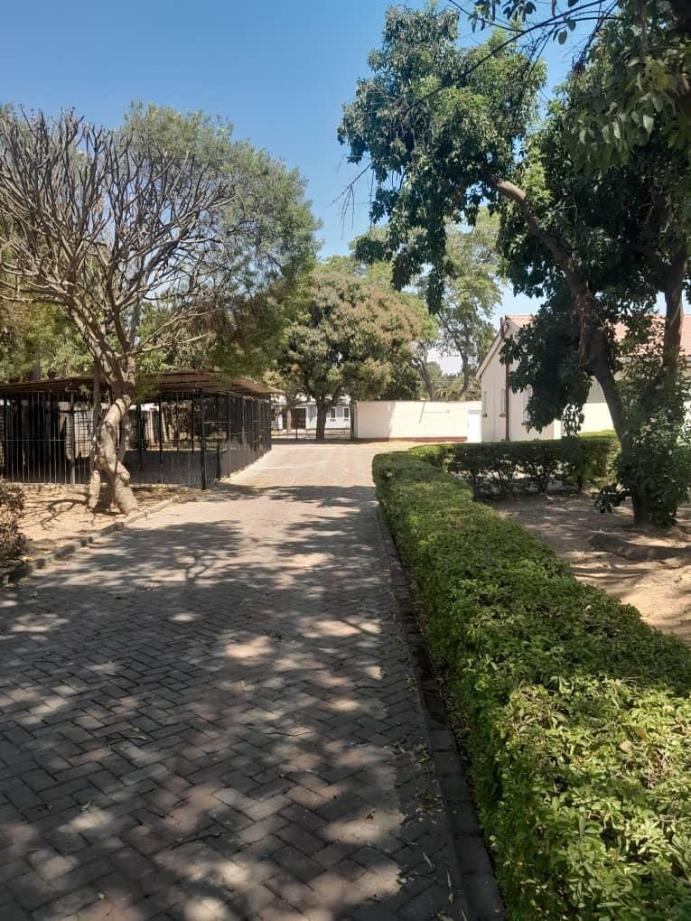 House For Sale In Hatfield — photo 4