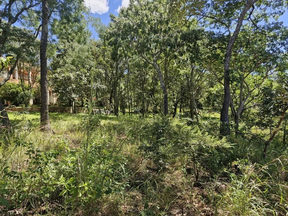 Stand For Sale In Chishawasha Hills — Chishawasha Hills