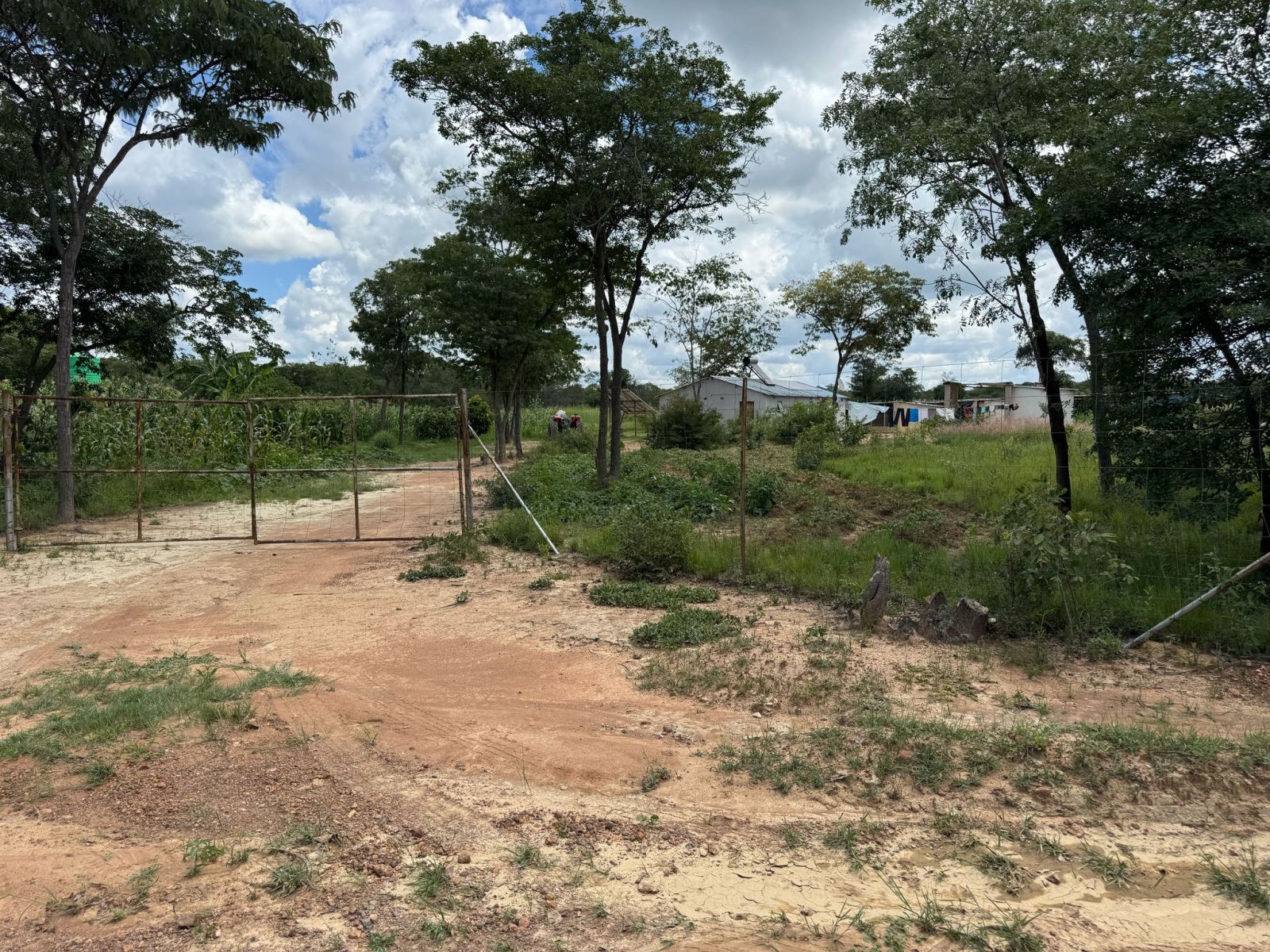 AGRO-RESIDENTIAL PLOT FOR SALE IN CHEGUTU — photo 9