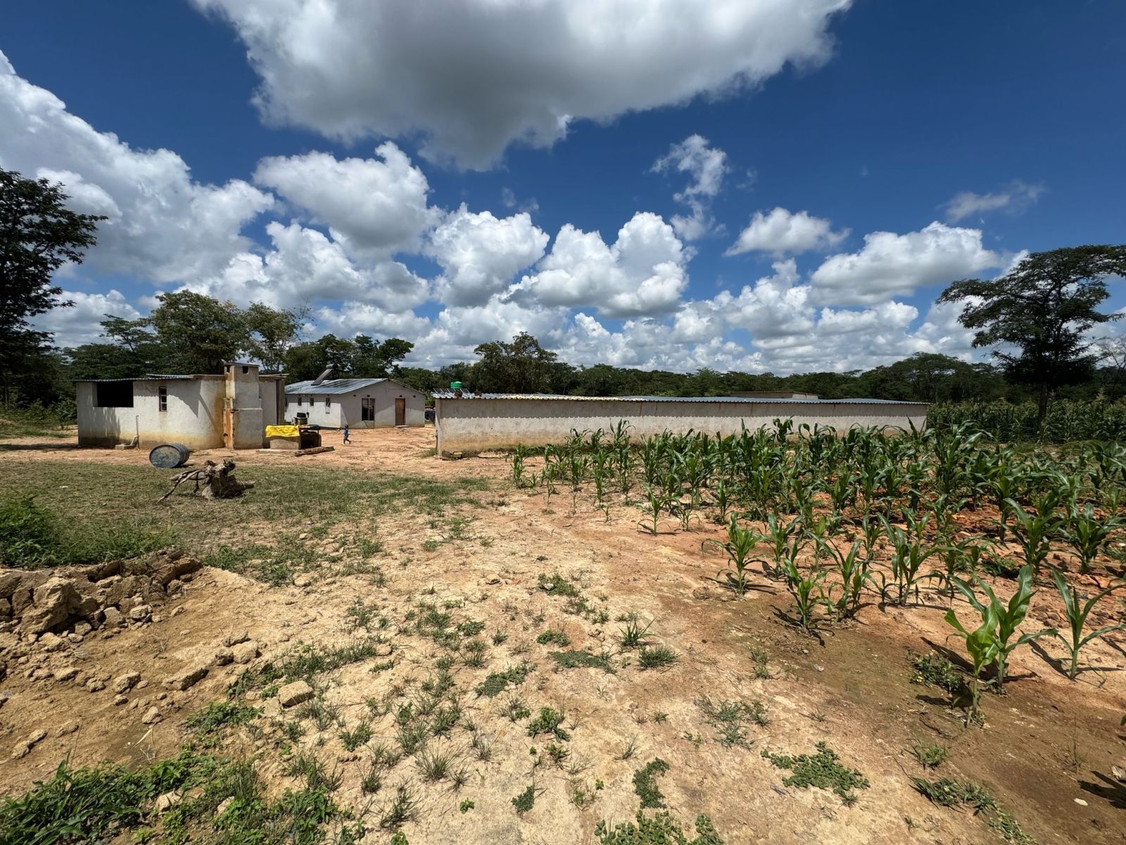 AGRO-RESIDENTIAL PLOT FOR SALE IN CHEGUTU — photo 5