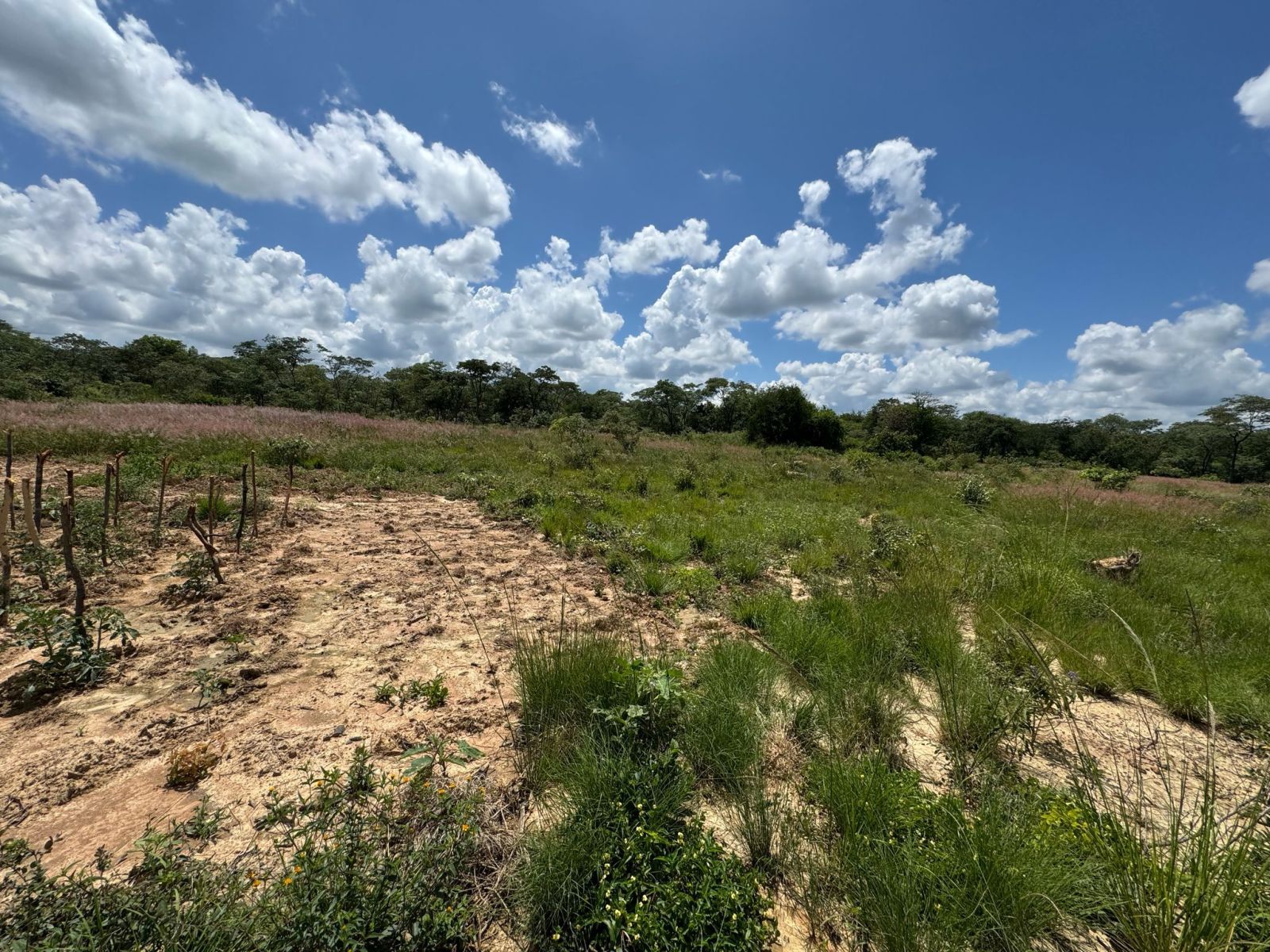 AGRO-RESIDENTIAL PLOT FOR SALE IN CHEGUTU — photo 4