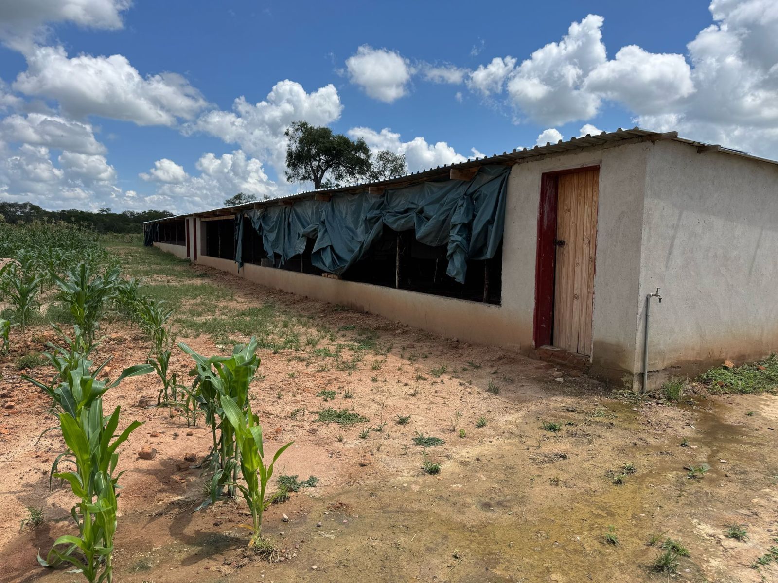 AGRO-RESIDENTIAL PLOT FOR SALE IN CHEGUTU — photo 8