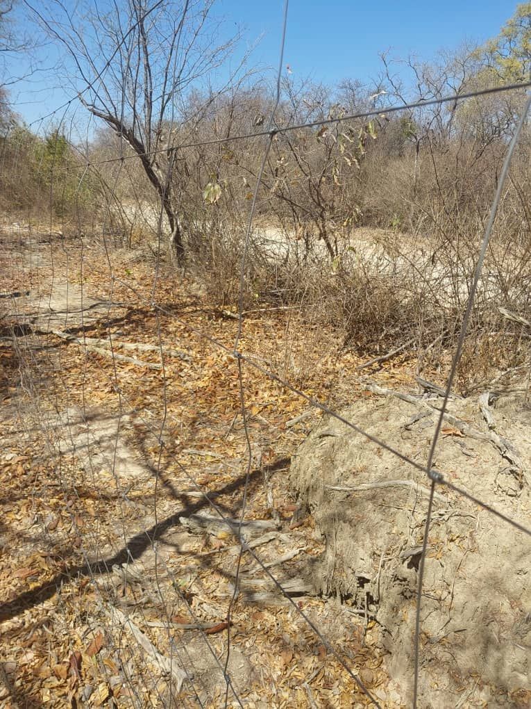 Agro-Residential Plots for Sale in Chegutu — photo 4