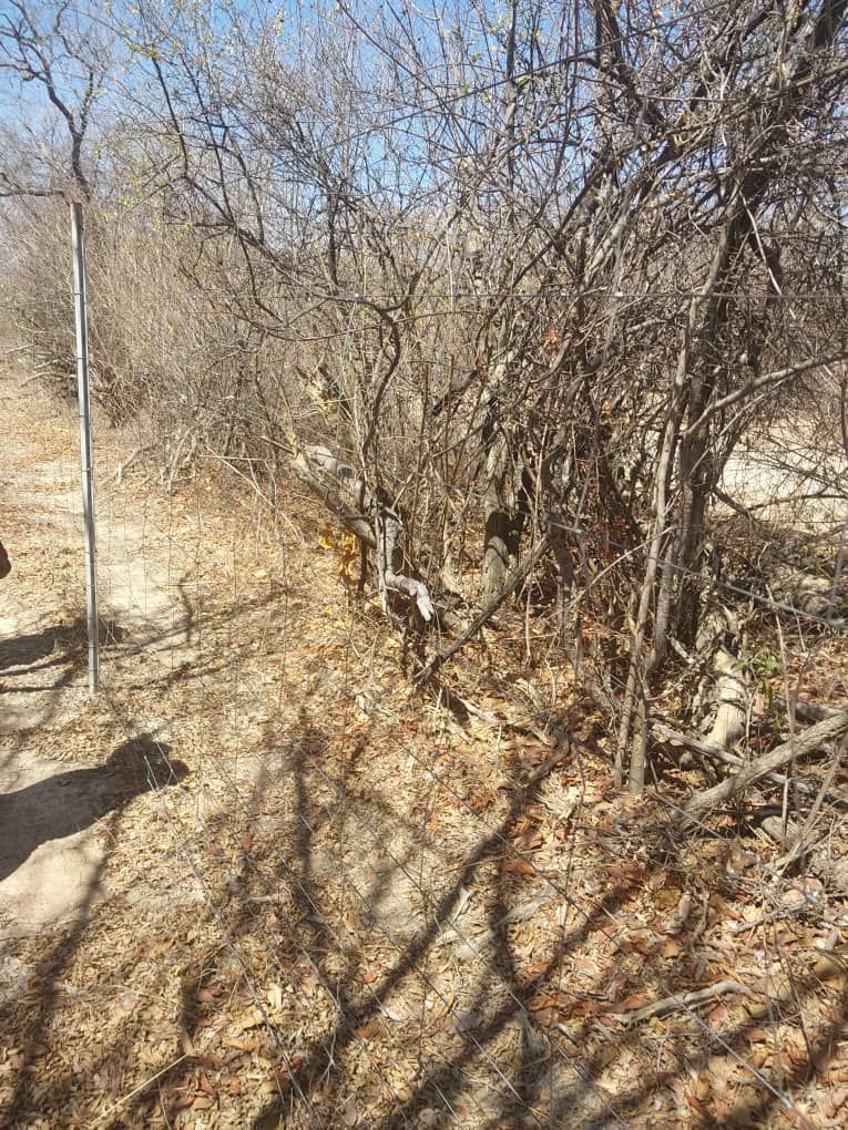 Agro-Residential Plots for Sale in Chegutu — photo 7