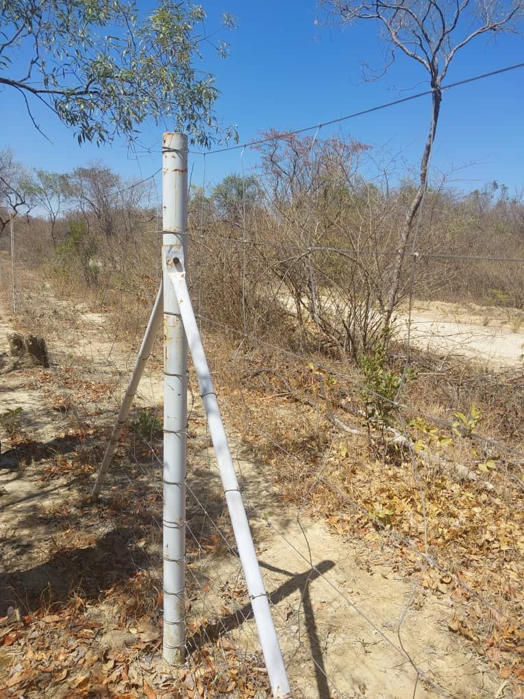 Agro-Residential Plots for Sale in Chegutu — photo 5