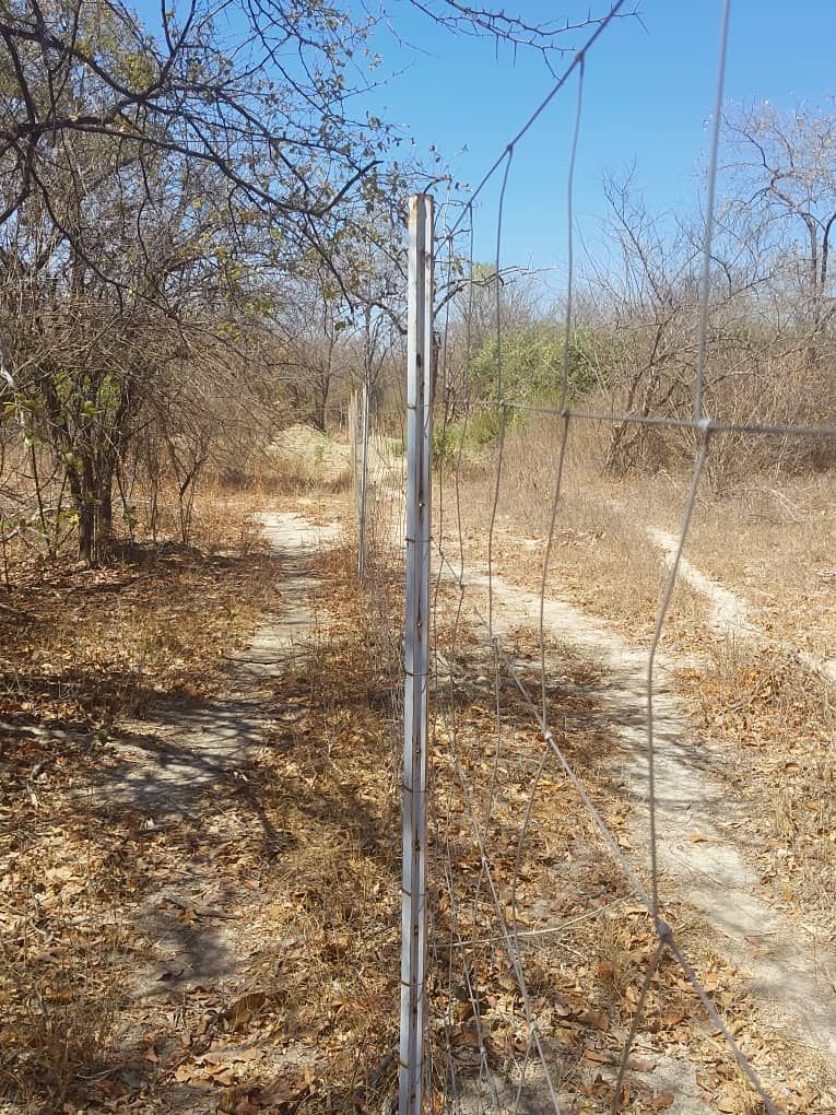 Agro-Residential Plots for Sale in Chegutu — Suri Suri
