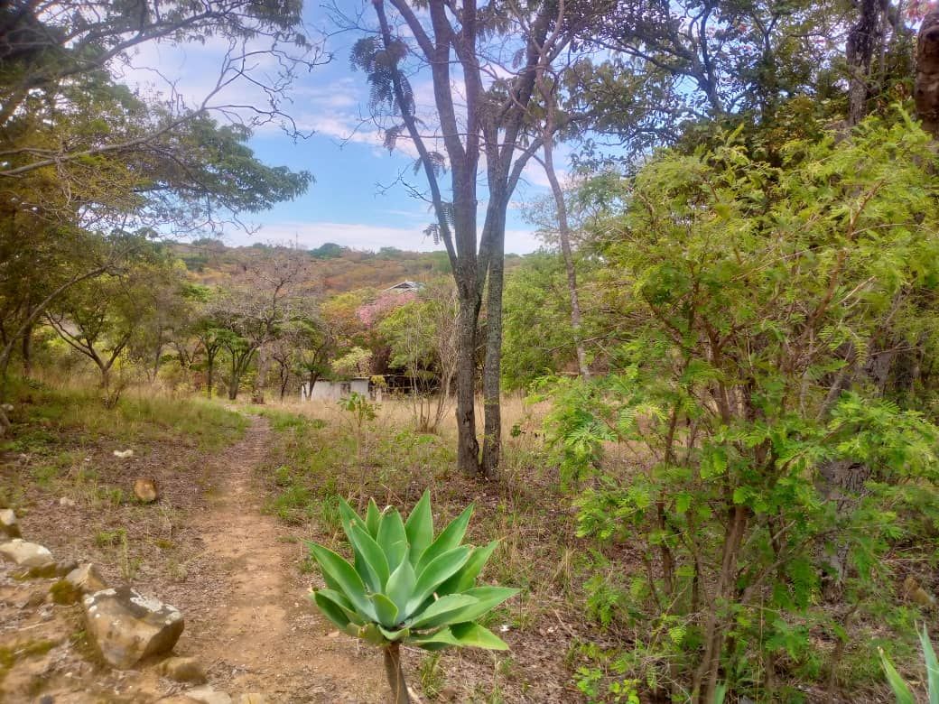 Land for Sale in Christon Bank — photo 10