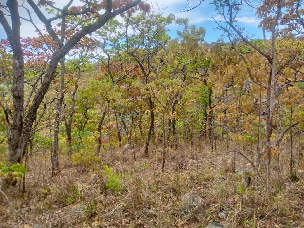 Land for Sale in Christon Bank — photo 3