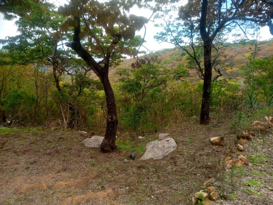 Land for Sale in Christon Bank — photo 8