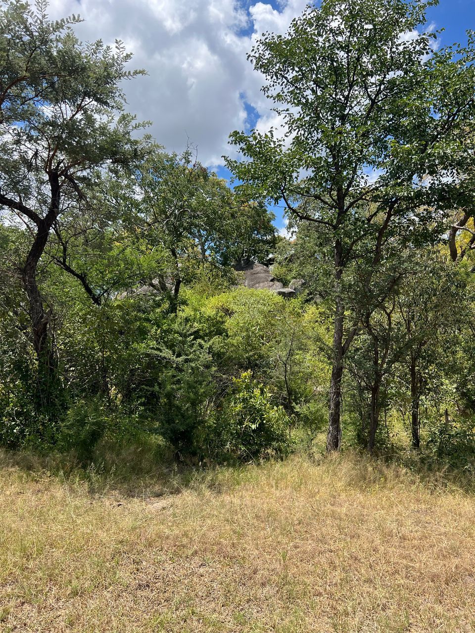 Land for Sale in KWEKWE — Redcliff