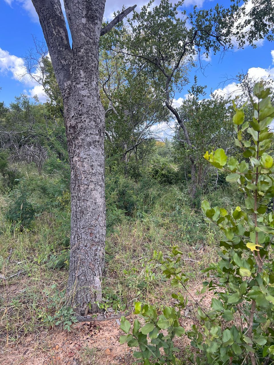 Land for Sale in KWEKWE — photo 4