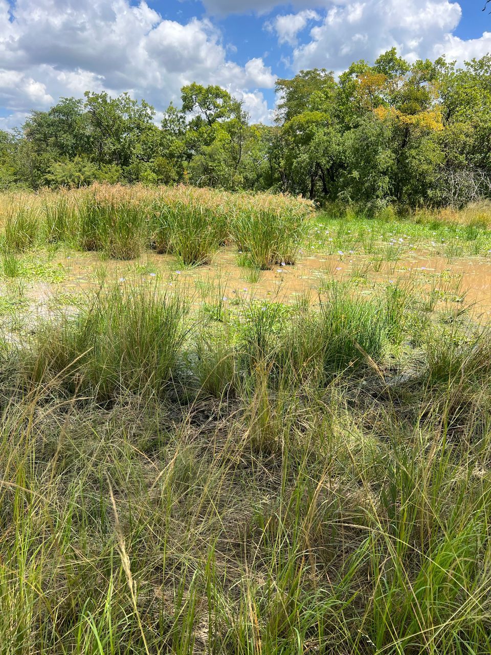 Land for Sale in KWEKWE — photo 3