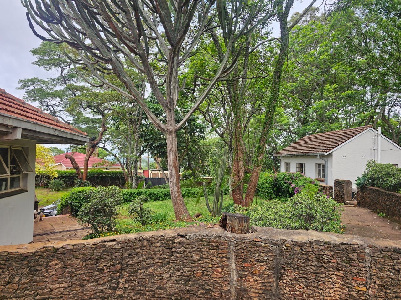House For Sale In Avondale — photo 6