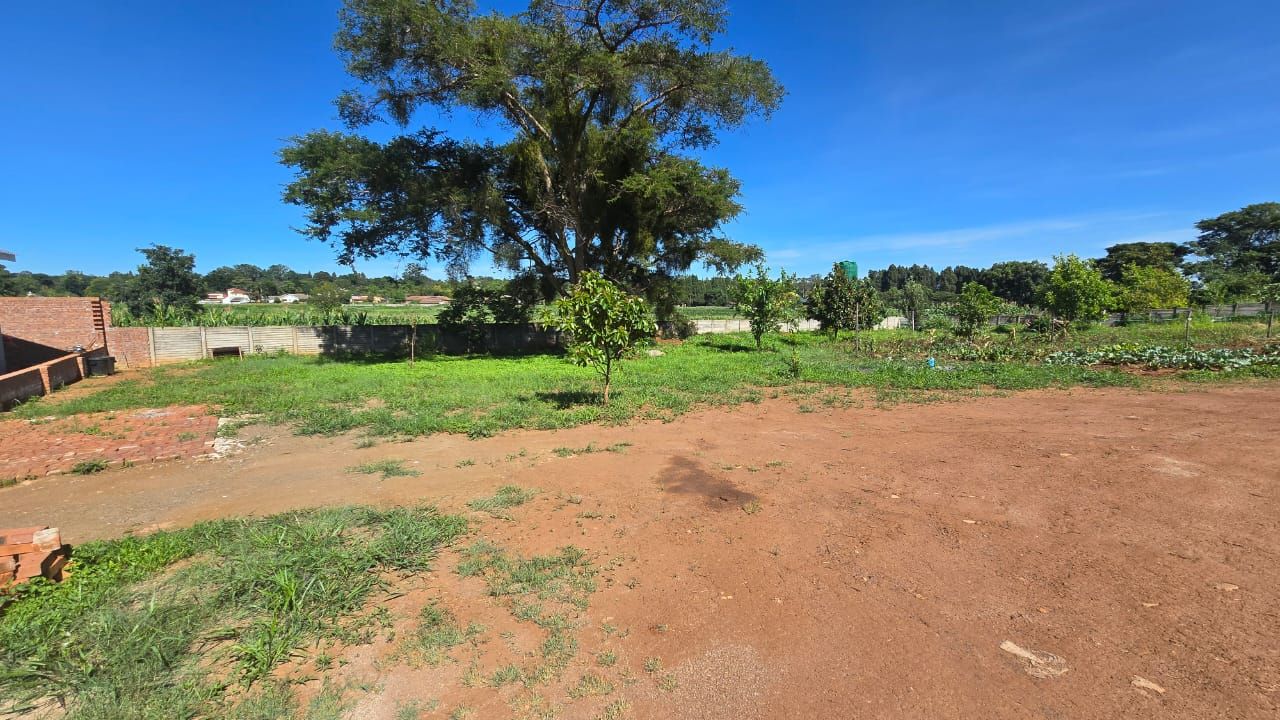 Stands For Sale In Mandara — Mandara
