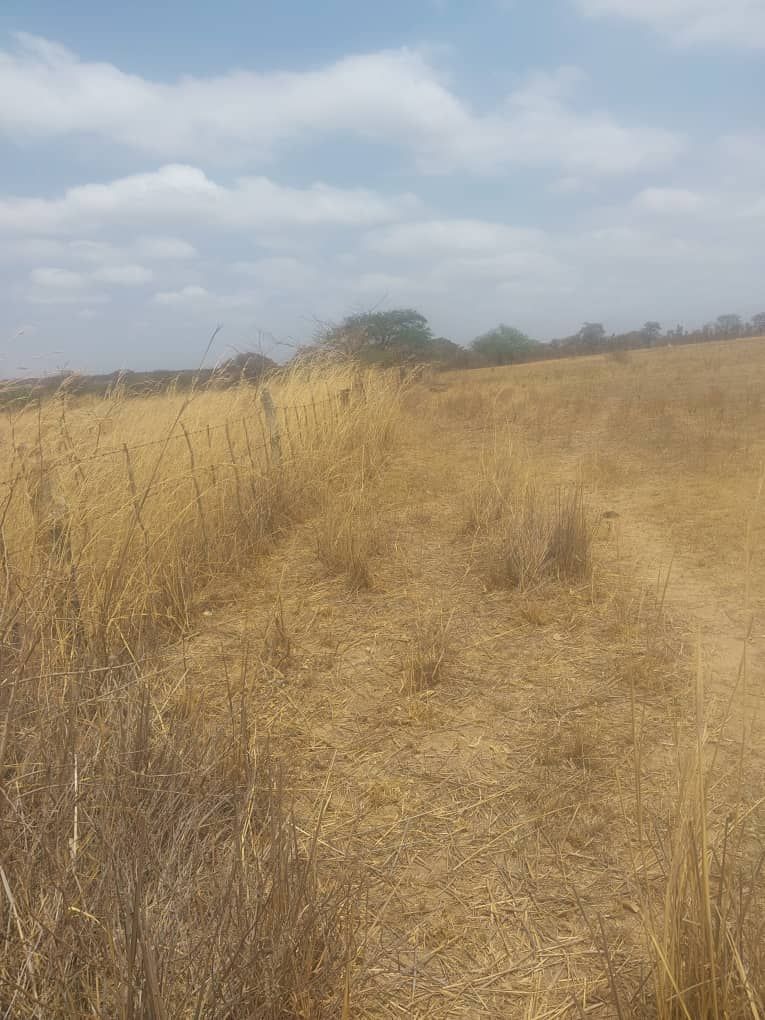 Farm for Sale in Murombedzi — photo 9