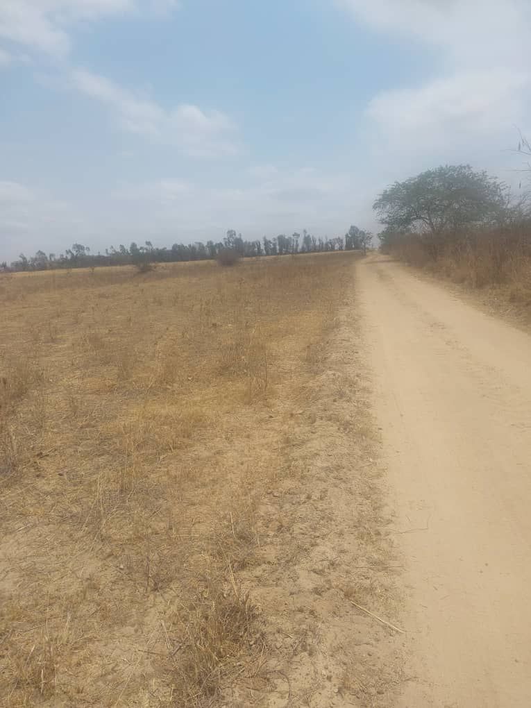 Farm for Sale in Murombedzi — photo 7