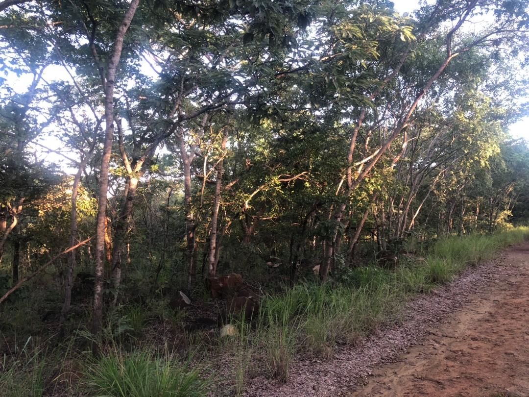 Land for Sale In Kwekwe — photo 5