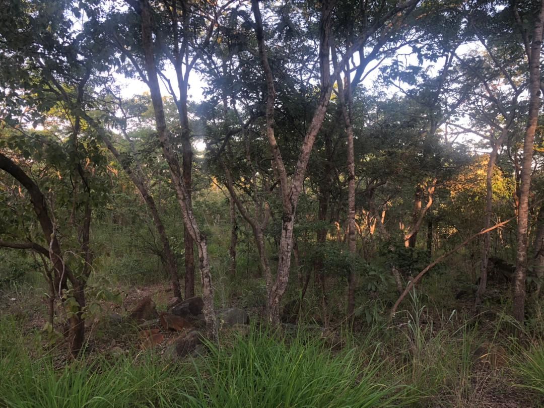 Land for Sale In Kwekwe — photo 6