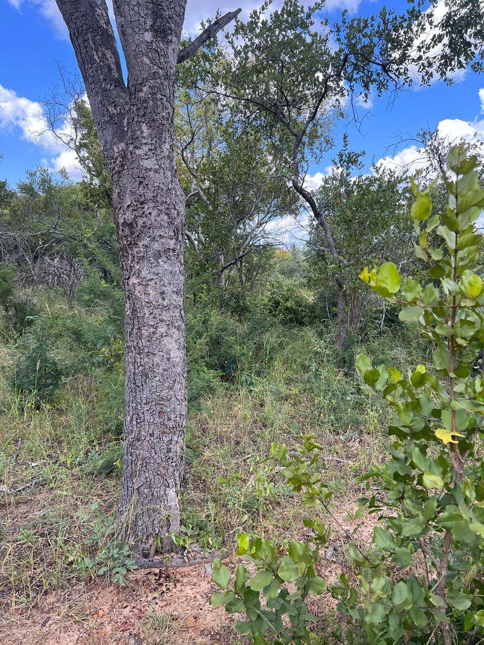 Land for Sale In Kwekwe — Redcliff