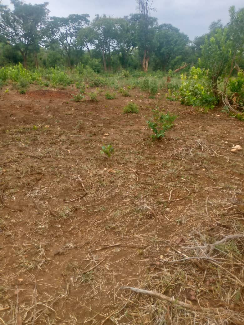 Land for sale In Kadoma — photo 3