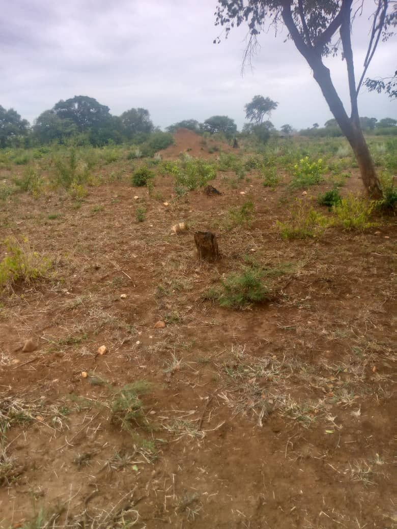 Land for sale In Kadoma — photo 4