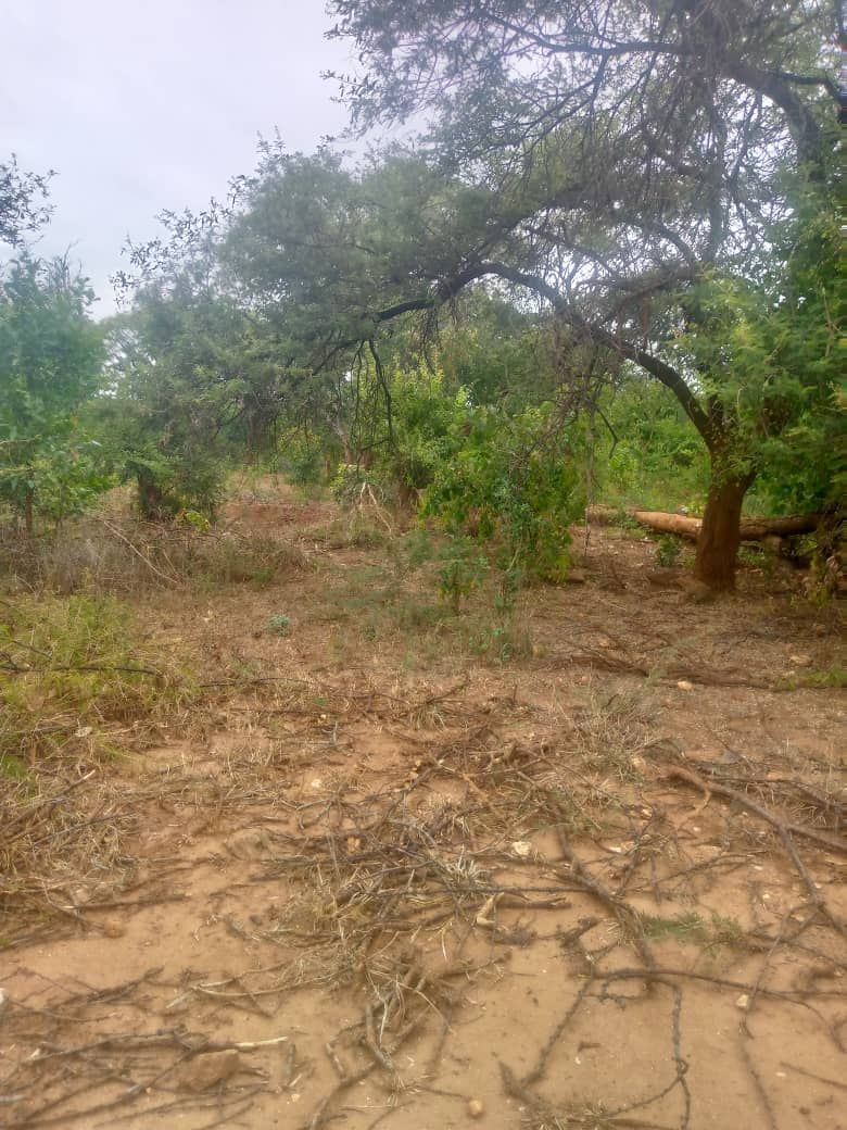 Land for sale In Kadoma — photo 6