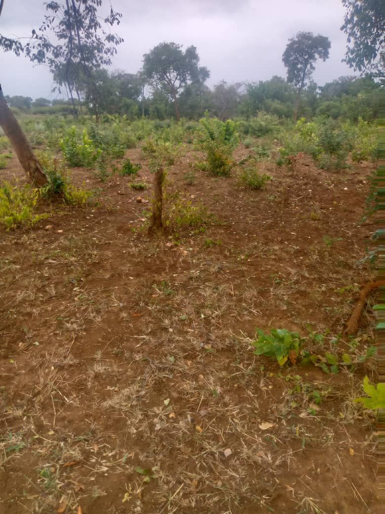 Land for sale In Kadoma — photo 2