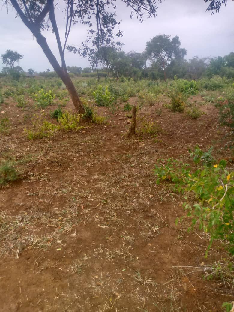 Land for sale In Kadoma — Parchway