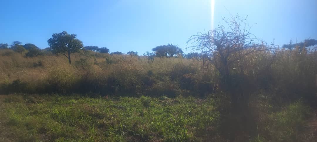 Farm for Sale In GLENFOREST — photo 3