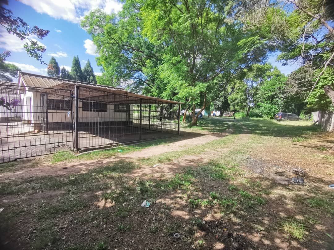 House for Sale In Hatfield — photo 7