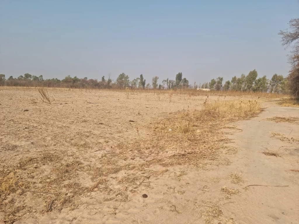 Farm for Sale In Chegutu — photo 6