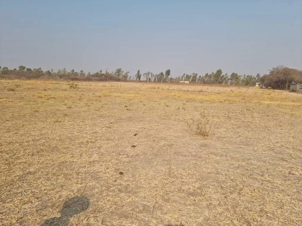 Farm for Sale In Chegutu — photo 7