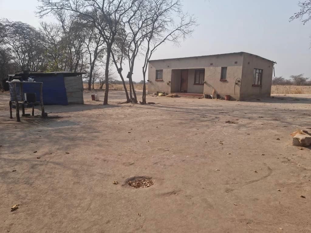 Farm for Sale In Chegutu — photo 4