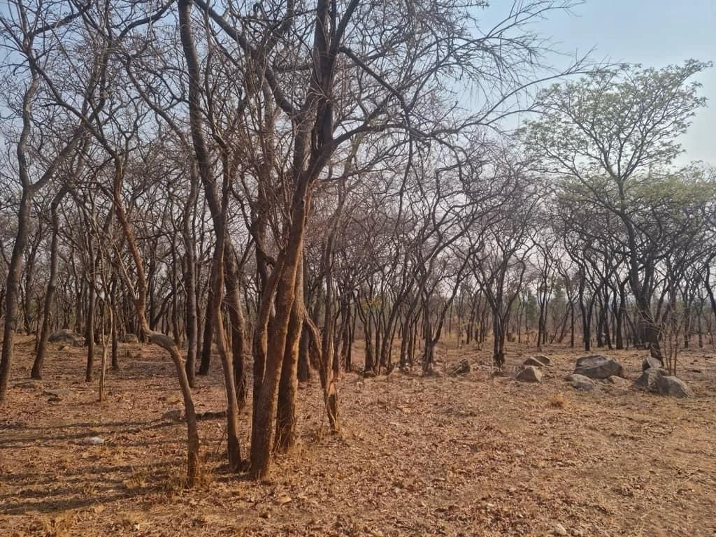 Farm for Sale In Chegutu — photo 10