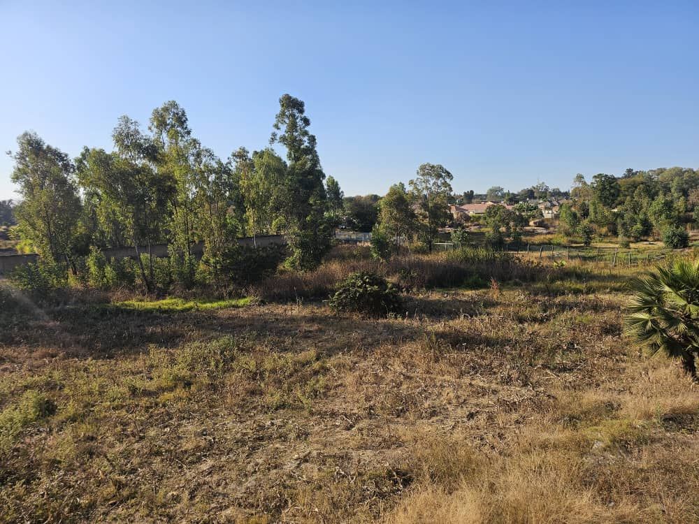 House For Sale in Hatfield — photo 5