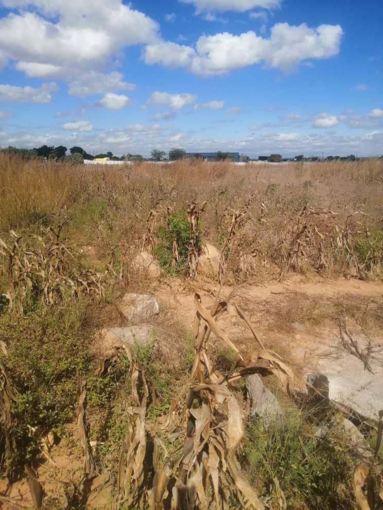 Stand for sale In Chitungwiza — photo 7
