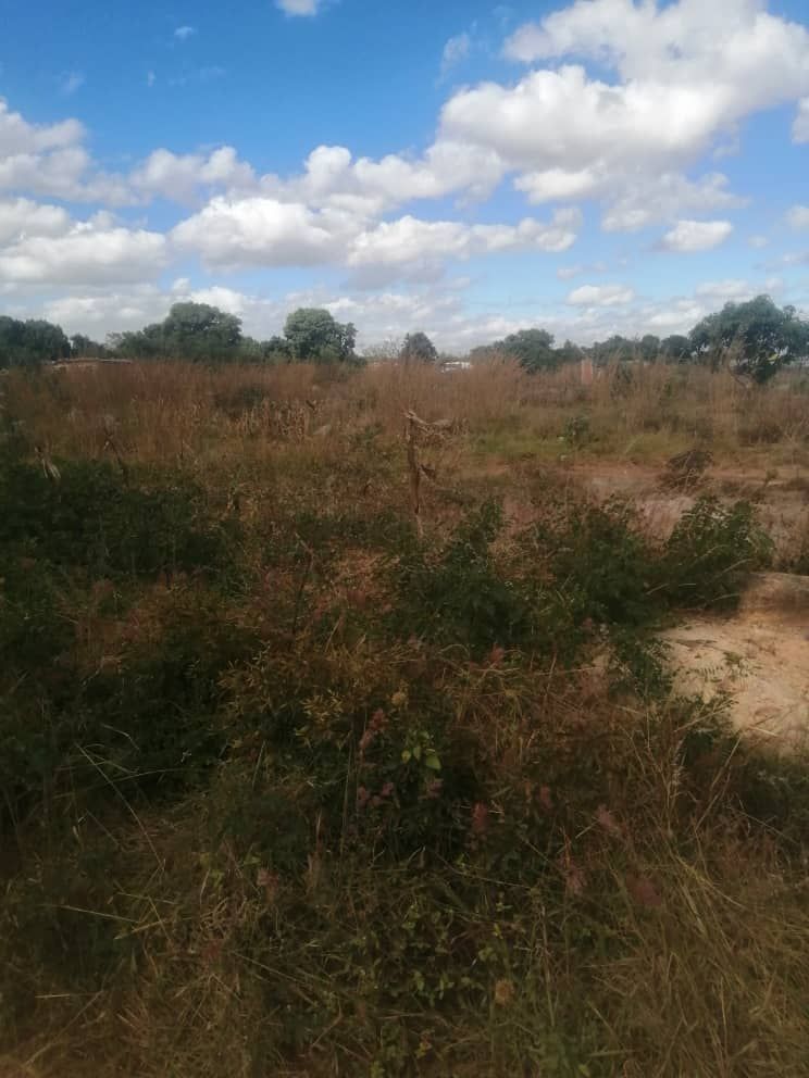 Stand for sale In Chitungwiza — photo 5