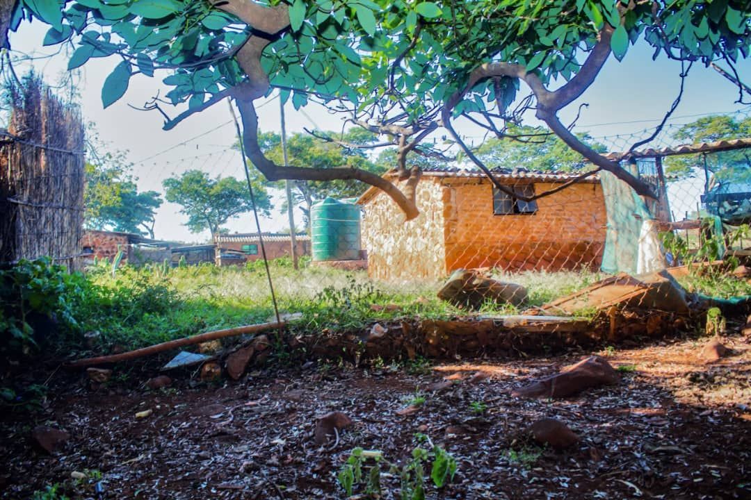 Farm for Sale In Glenforest — Glenforest