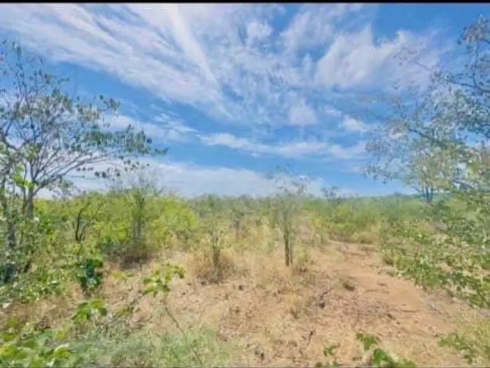 Land for Sale In Victoria Falls — photo 4