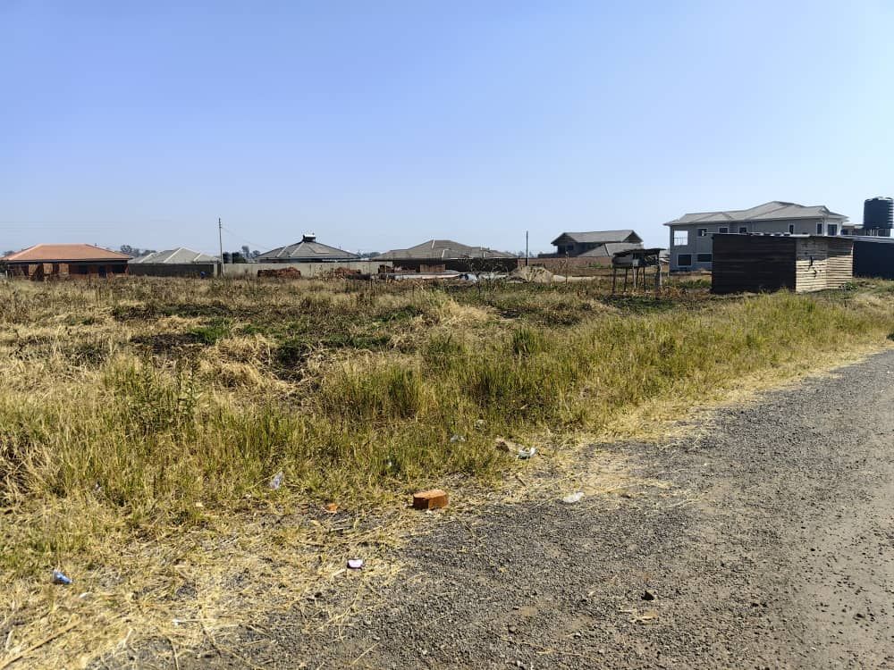 Stands for Sale In HAYDON PARK — Haydon Park