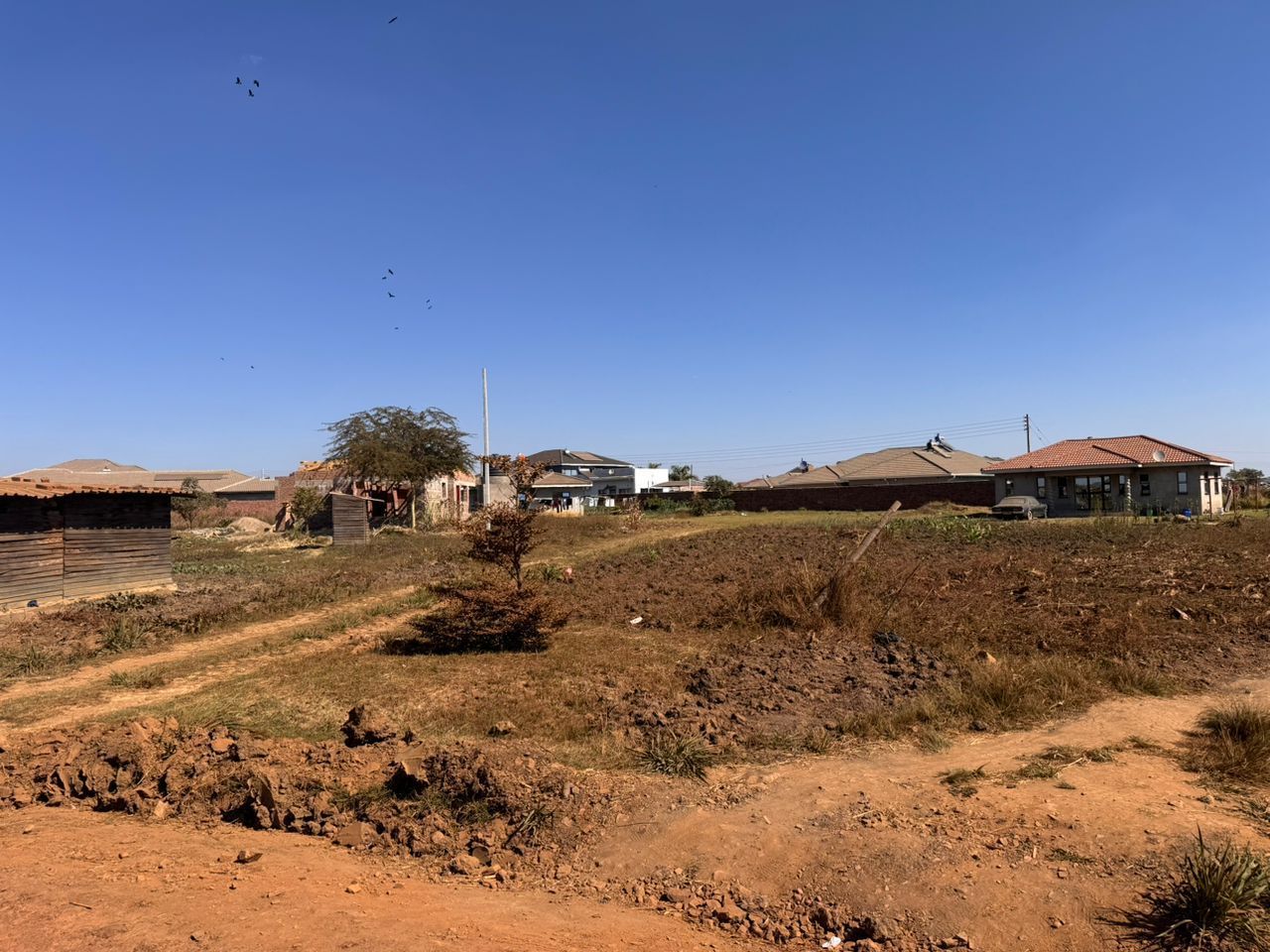 Spitzkop Stands for Sale — photo 8