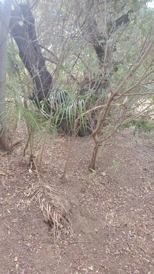 Stand For Sale In Mount Pleasant — photo 4