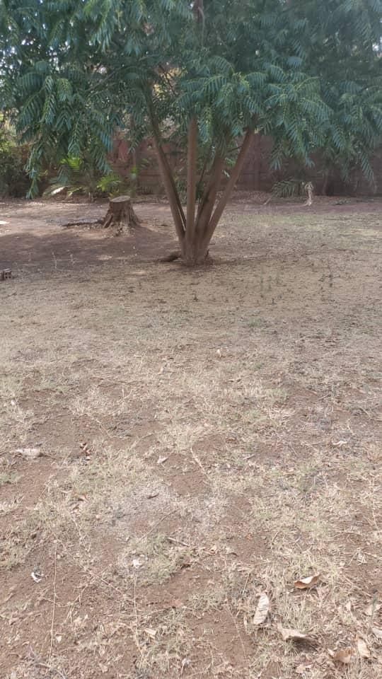 Stand For Sale In Mount Pleasant — photo 5