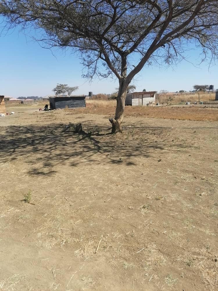 Stand For Sale In Sandton Park — photo 9